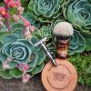 SOTD Apr 10 2016_2.jpg