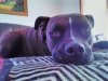 IMG_20160411_102251.jpg