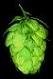 CrowdedBrewer