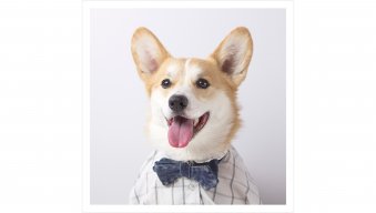 HirezChris