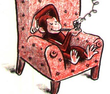 Monkeyboy