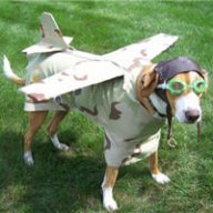 SquidgyBum