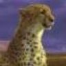 Trebor
