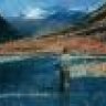 Cutthroat_trout
