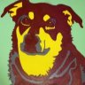 RezDog