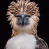 Orville