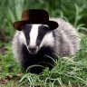 HeisenBadger