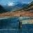 Cutthroat_trout