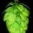 CrowdedBrewer