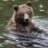 Griz