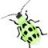 aubug