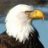 David6Eagle