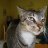 Mouser
